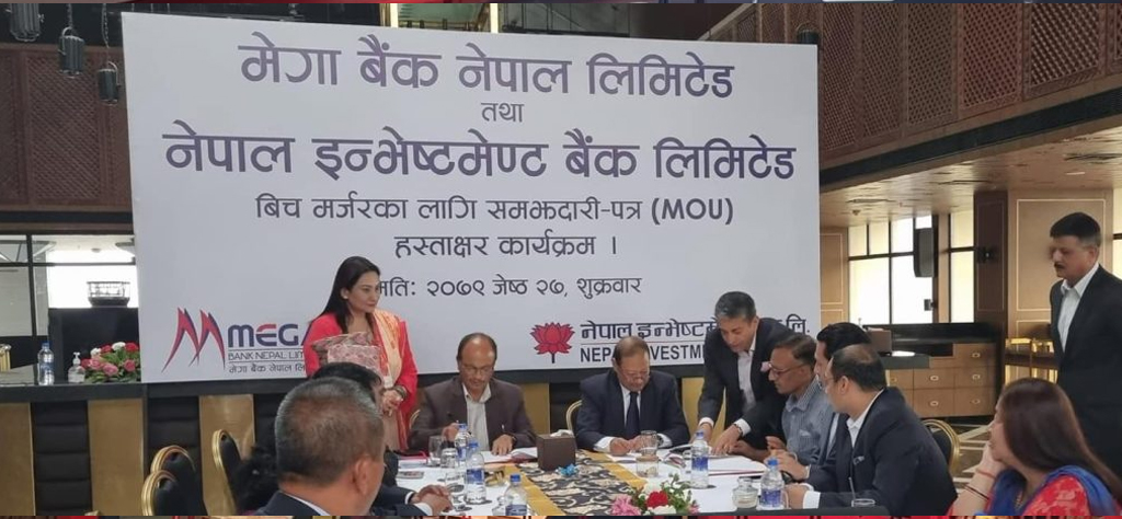 इन्भेस्टमेन्ट र मेगा मर्जरतिर, साधारणसभाबाटै प्रस्ताव पास